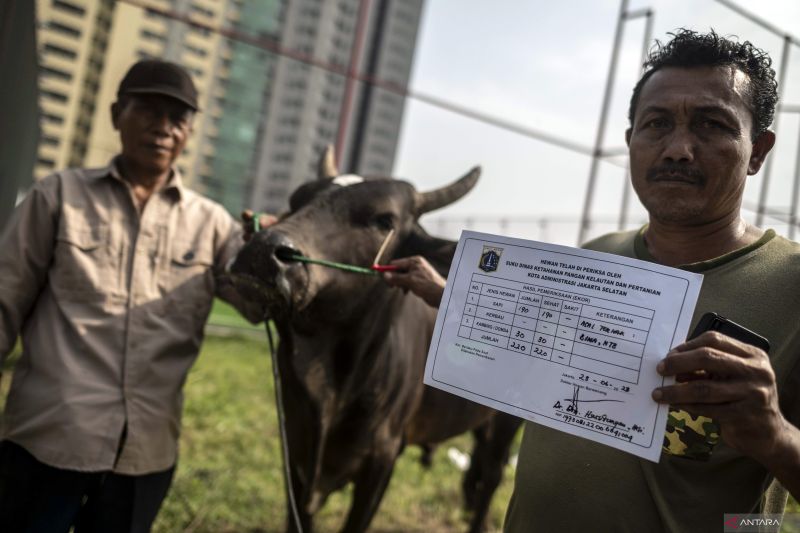 DKI kemarin, dari PPDB hingga pemeriksaan hewan kurban 