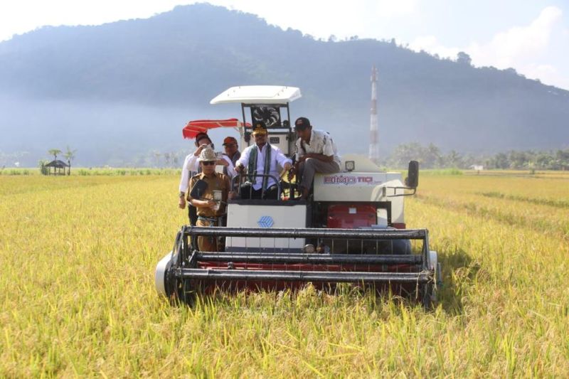 Kementerian menawarkan bantuan kepada petani Lombok Barat untuk mengantisipasi El Nino