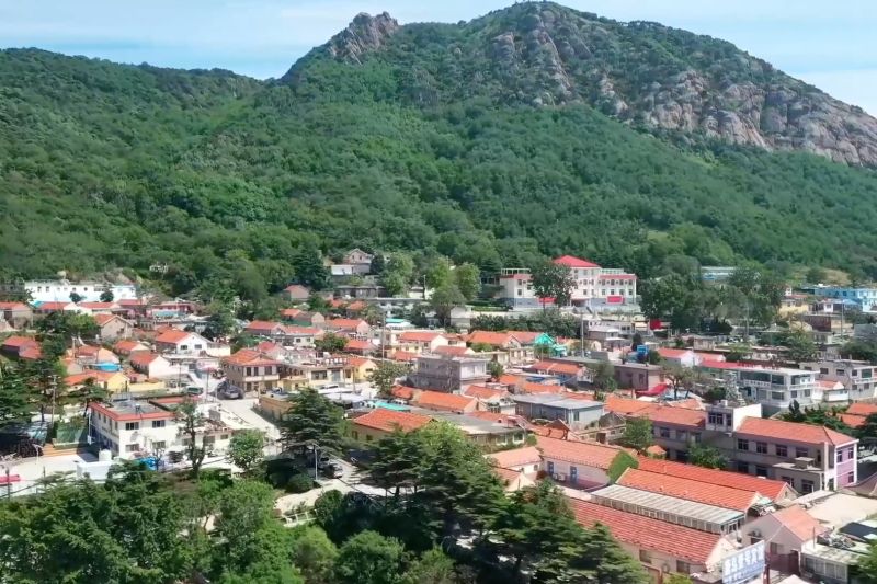 GERAKAN HIJAU LAHIRKAN PULAU NEGATIF KARBON PERTAMA DI CHINA
