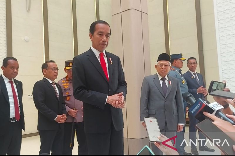 Pemerintah putuskan divestasi Vale bulan ini: Jokowi