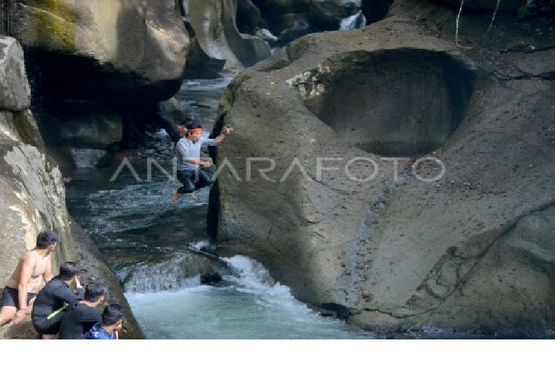 Menikmati Pesona Tersembunyi Di Hutan Gamaran Padang Pariaman