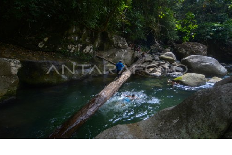 Menikmati Pesona Tersembunyi Di Hutan Gamaran Padang Pariaman