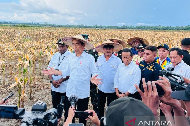 Jokowi: RI terbuka kerja sama hilirisasi mineral dengan Papua Nugini