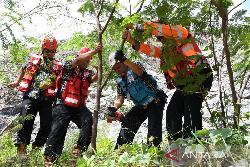 Semen Padang siap jadikan Kaliandra Merah subtitusi energi batu bara
