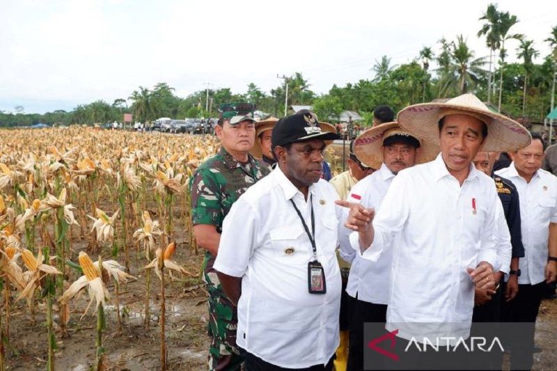 Kebun pangan memberikan dampak positif bagi petani, wilayah: Kementerian