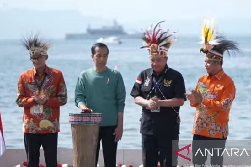 Presiden Joko Widodo buka Papua Street Carnival