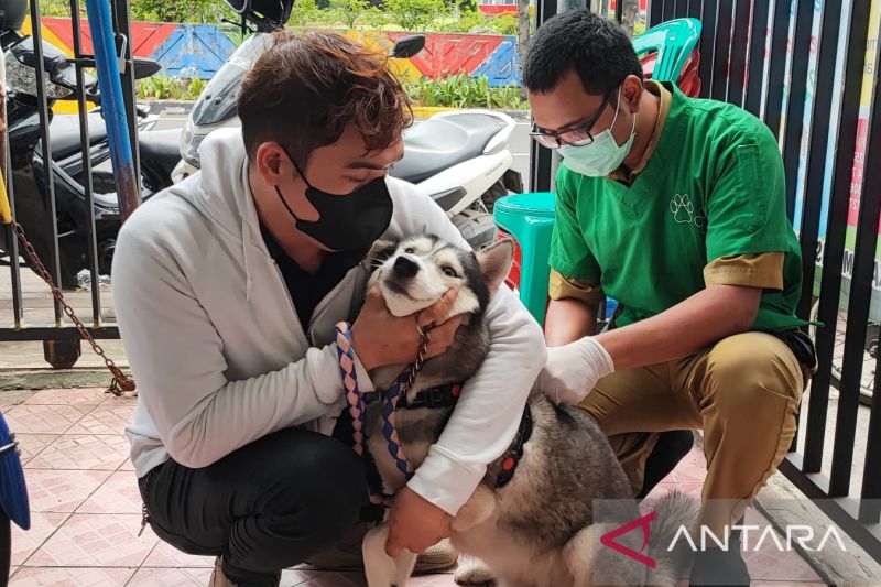 Sudin KPKP Jaktim gelar vaksin rabies gratis di Matraman