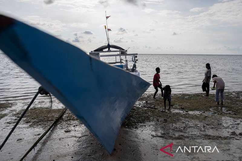 Cari siput saat air laut surut