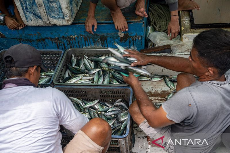 Capaian tarrget produksi perikanan tangkap