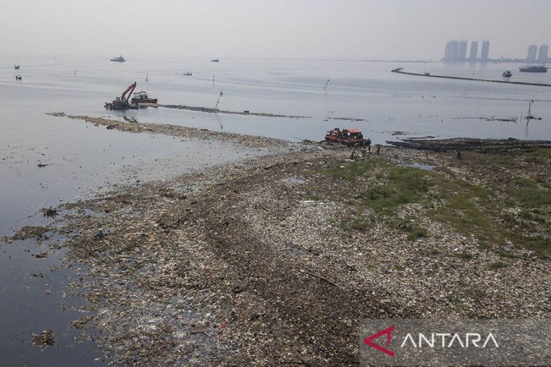 Pembersihan sampah di Hutan Mangrove Muara Angke