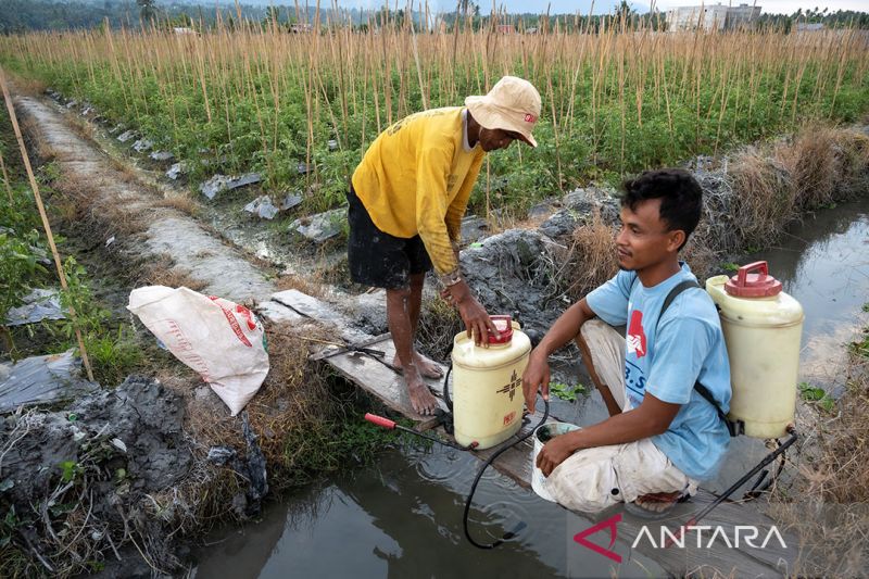 Rencana perubahan skema subsidi pupuk