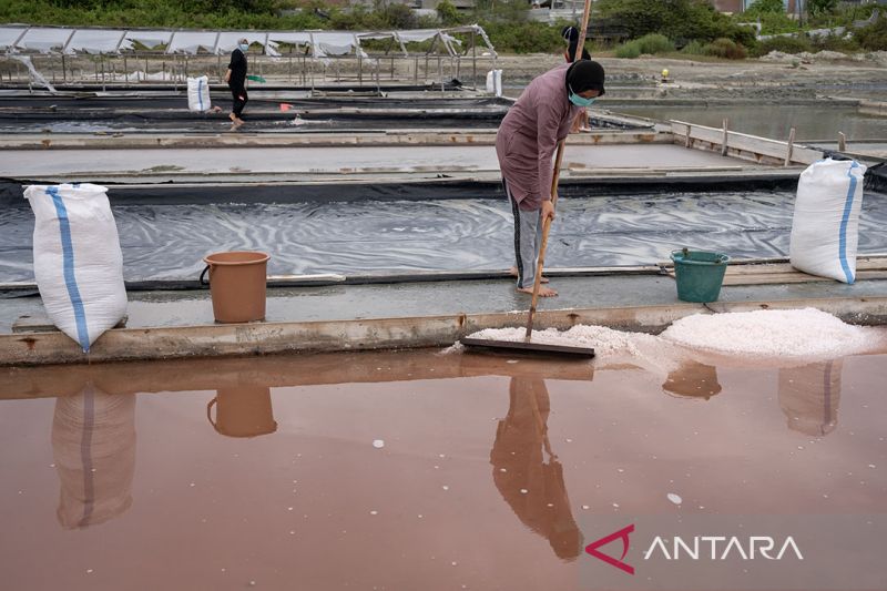 Target percepatan pembangunan pergaraman nasional