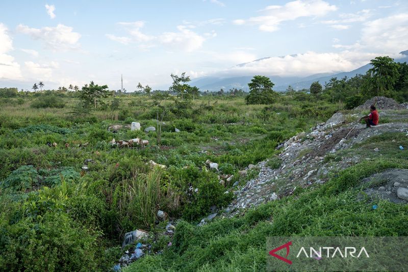 Area bekas likuifaksi akan dijadikan RTH