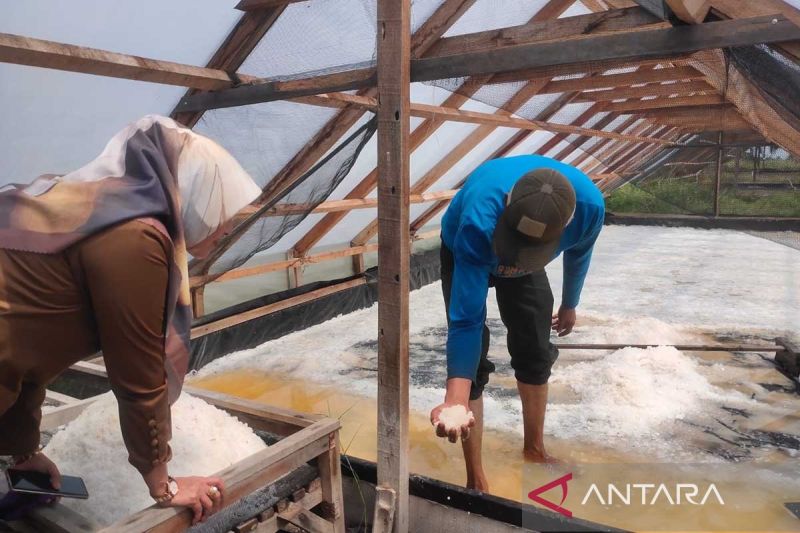 muhammadiyah-kkp-kerja-sama-kembangkan-usaha-garam-daerah-pesisir