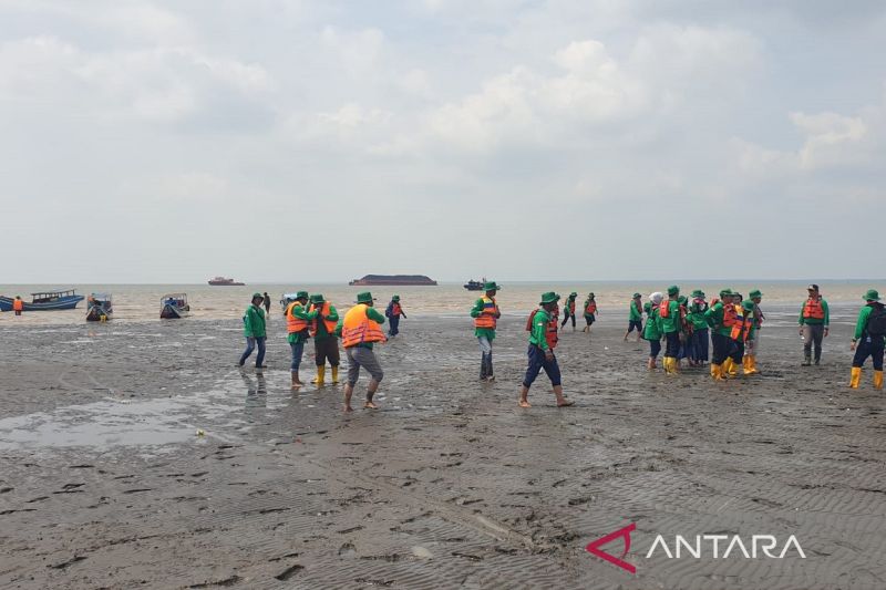 PTKPI berjuang tanam mangrove kado HUT RI