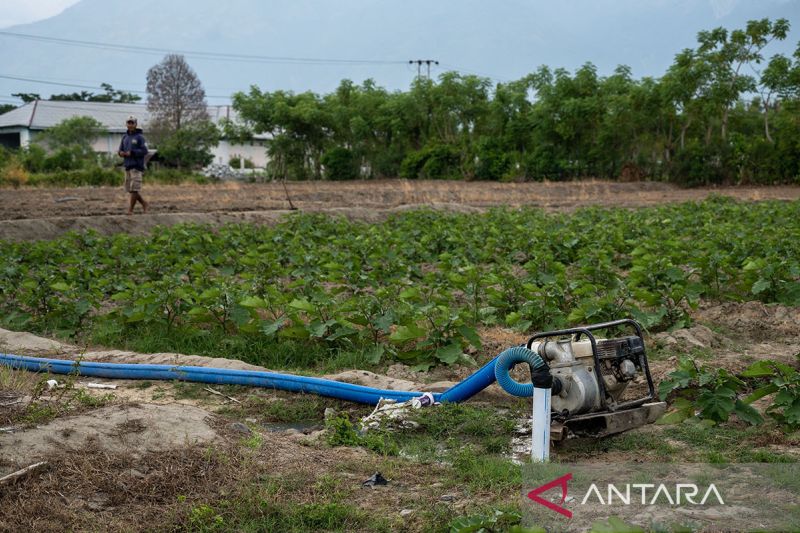 Petani gunakan mesin penyedot air