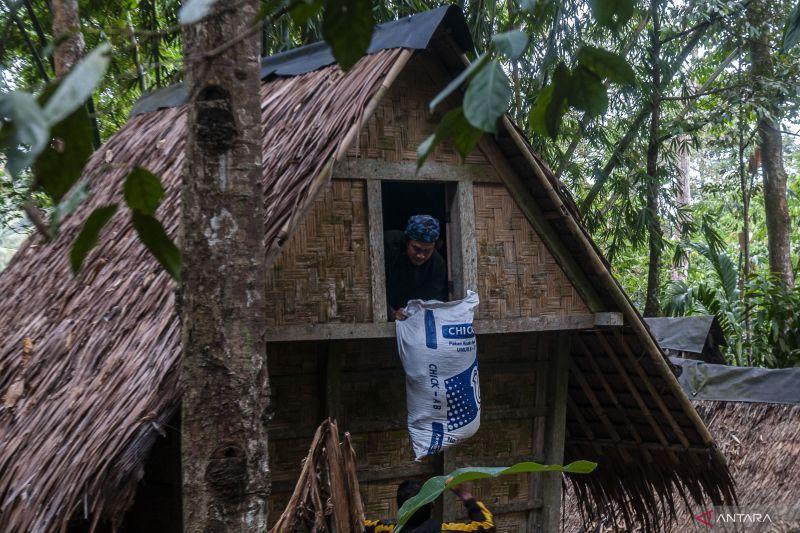 Membangun lumbung padi untuk petani berdaulat