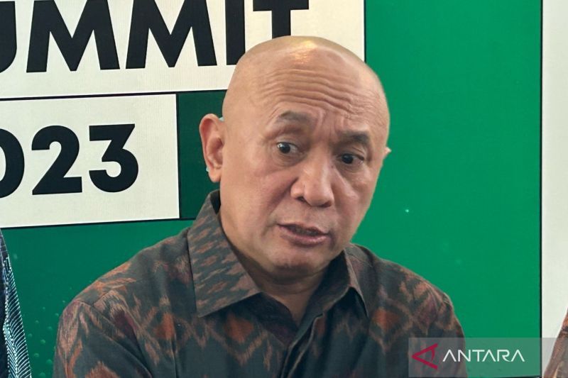 Teten: Menteri Koperasi tak bisa tutup TikTok Shop