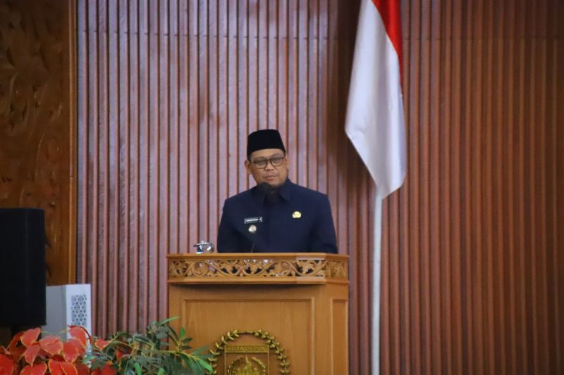Wakil Wali Kota Depok Imam Budi Hartono (ANTARA/ foto: dok pribadi)