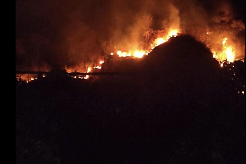 BPBD Sukabumi berhasil padamkan kebakaran lahan di Gunung Jayanti