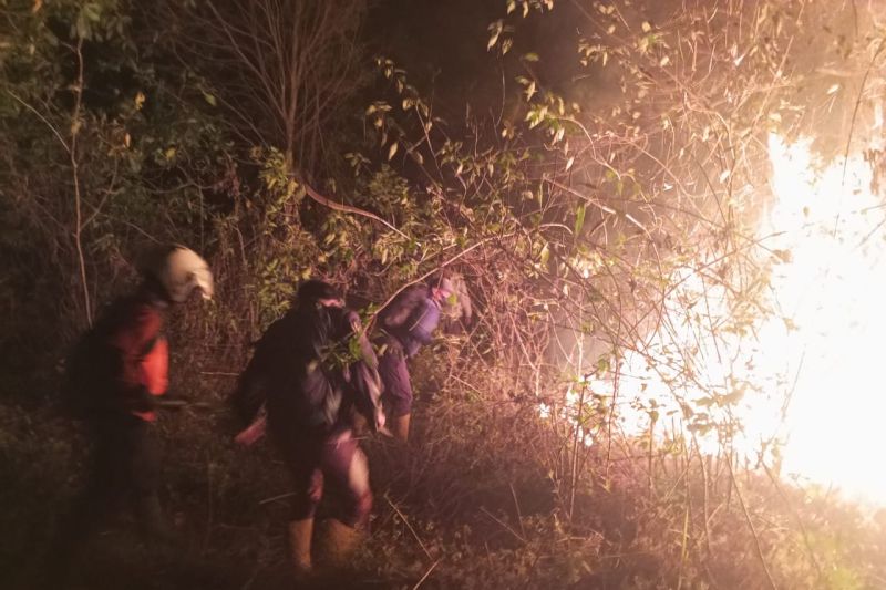 Kebakaran satu hektare lahan di lereng Gunung Merbabu dijinakkan