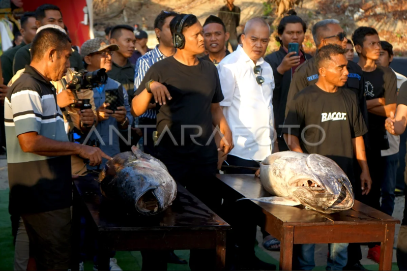 Festival Kuliner Ikan Tuna 2023