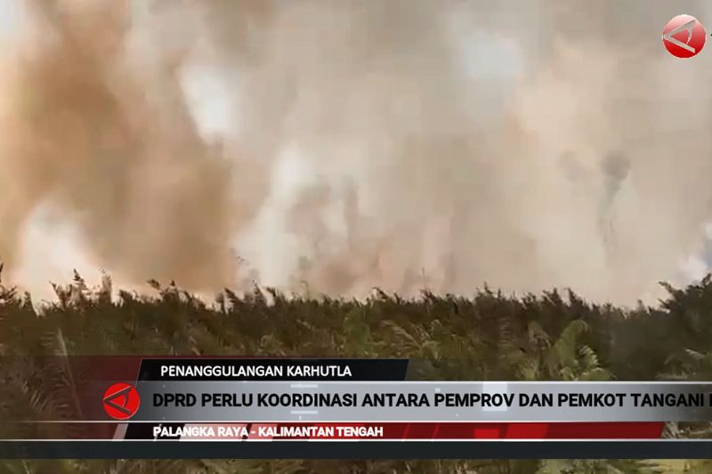 DPRD: Perlu koordinasi antara Pemprov-Pemkot tangani karhutla