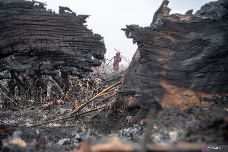 Manggala Agni masih berupaya memadamkan karhutla di Desa Jungkal