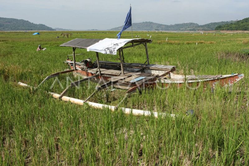 Pemanfaatan area genangan waduk yang mengering