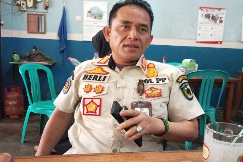 Waspada! Pohon tumbang di Palangka Raya saat cuaca ekstrem