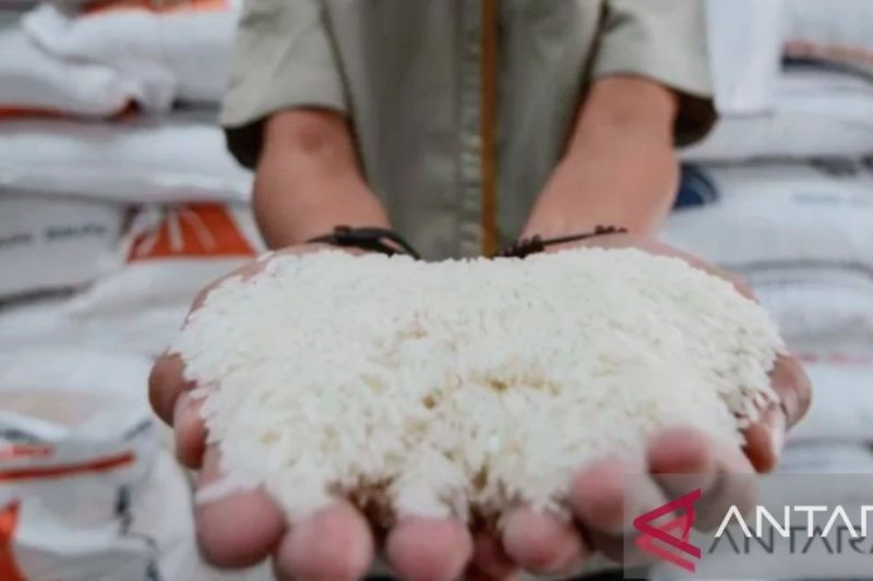 Hoaks! Kenaikan harga beras karena pemerintah ekspor beras 2,5 juta ton ke China
