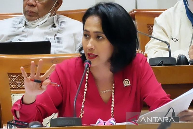 DPR sebut perlindungan pekerja migran indonesia semakin membaik