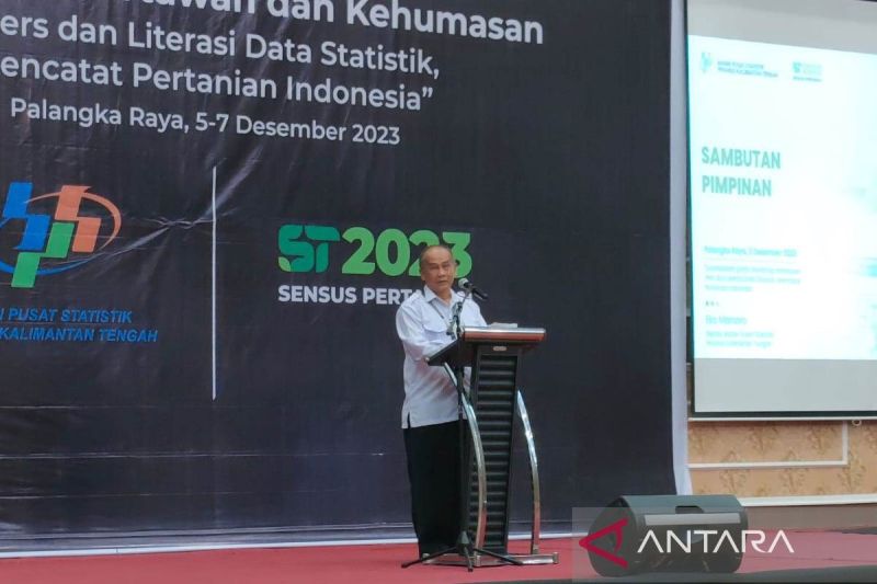 Antisipasi misinterprestasi, perlu kehati-hatian baca data BPS