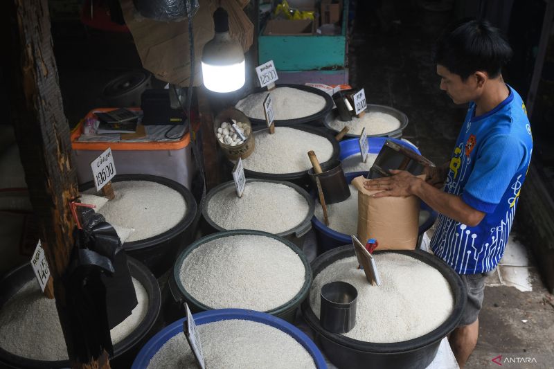BPS catat harga beras naik 0,48 persen seiring kenaikan harga gabah