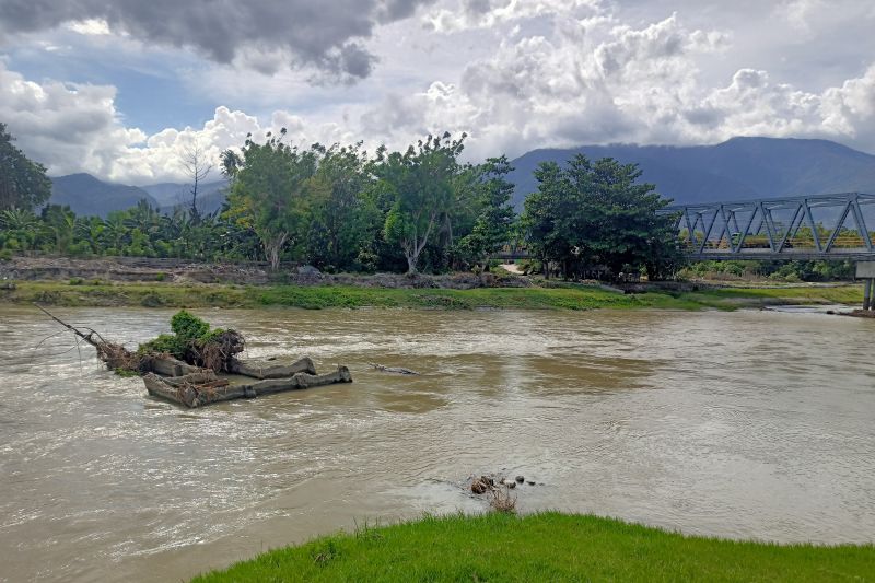 Buaya liar jadi objek tontonan warga di Sungai Jembatan II Kota Palu