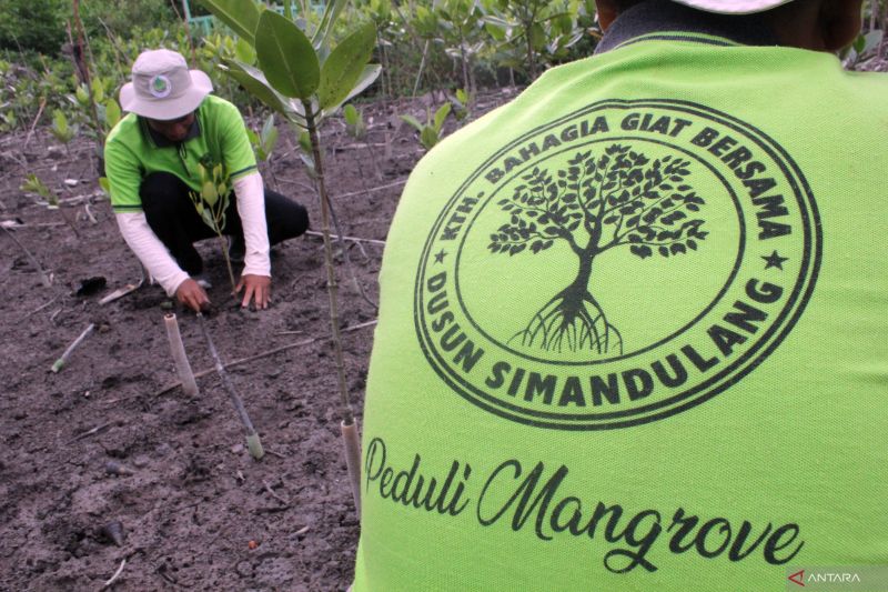 BRGM sebut PP soal mangrove akan perjelas pengelolaan di wilayah APL