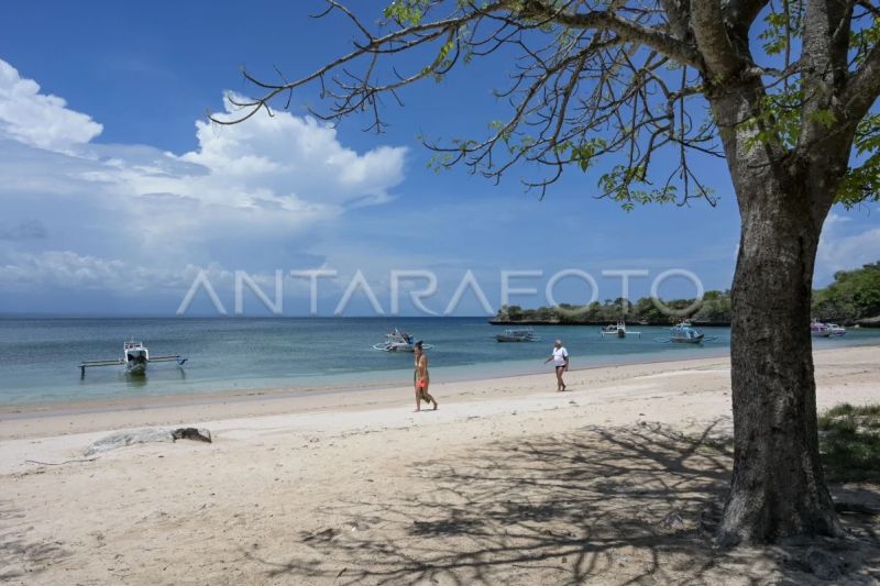 Wisata Pantai Pink di Lombok