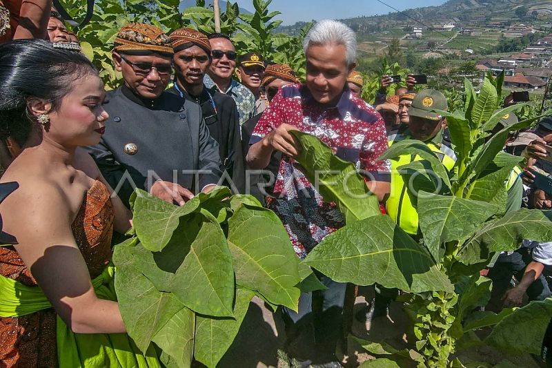 Soal wujudkan kemandirian pangan, Ganjar: Harus modernisasi pertanian