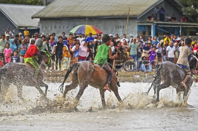 Pacuan kuda lumpur di Dompu