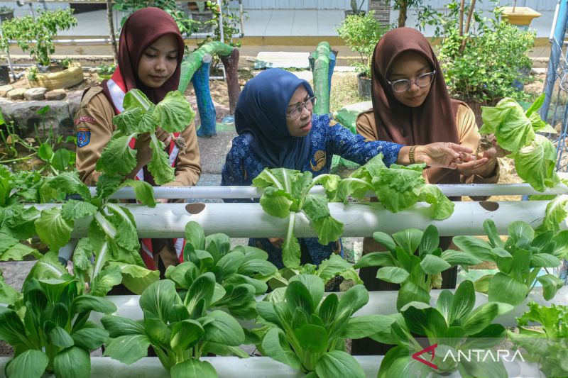 Pekarangan sekolah jadi lahan pertanian