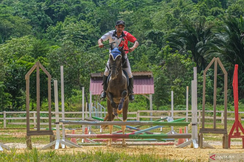 Wisata berkuda di Konawe Selatan