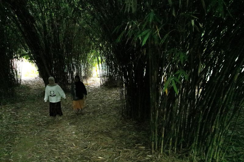 Wisata alam puncak sani-sani di Kolaka