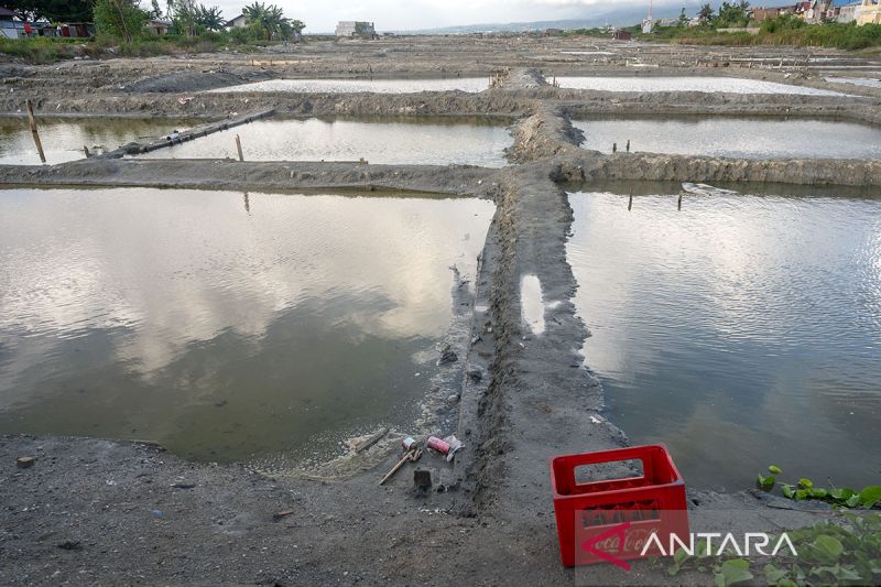 Produksi garam terhenti akibat hujan