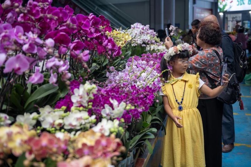 Provinsi Yunnan catat lonjakan ekspor bunga pada 2023