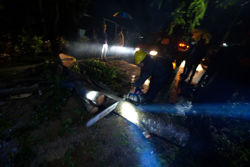 Pohon tumbang akibat angin kencang di Kendari