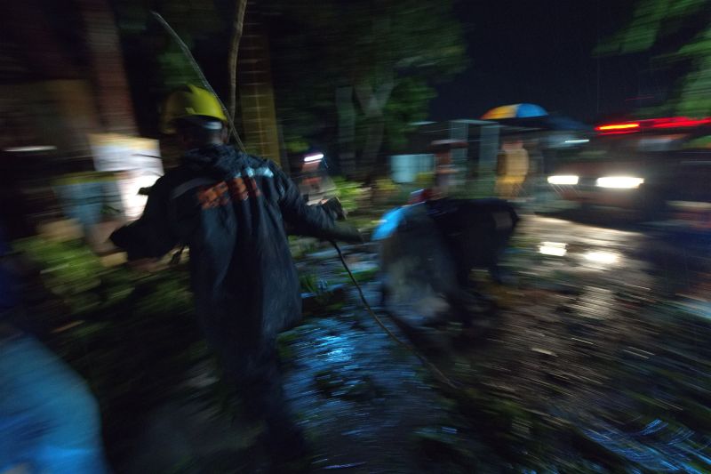 Pohon tumbang akibat angin kencang di Kendari