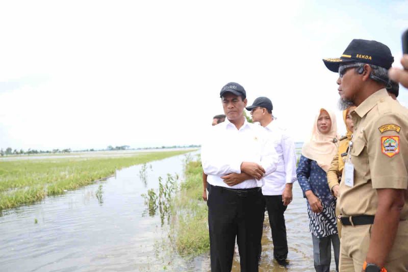 Mentan bantu sarana pertanian korban banjir di Jateng Rp30 miliar