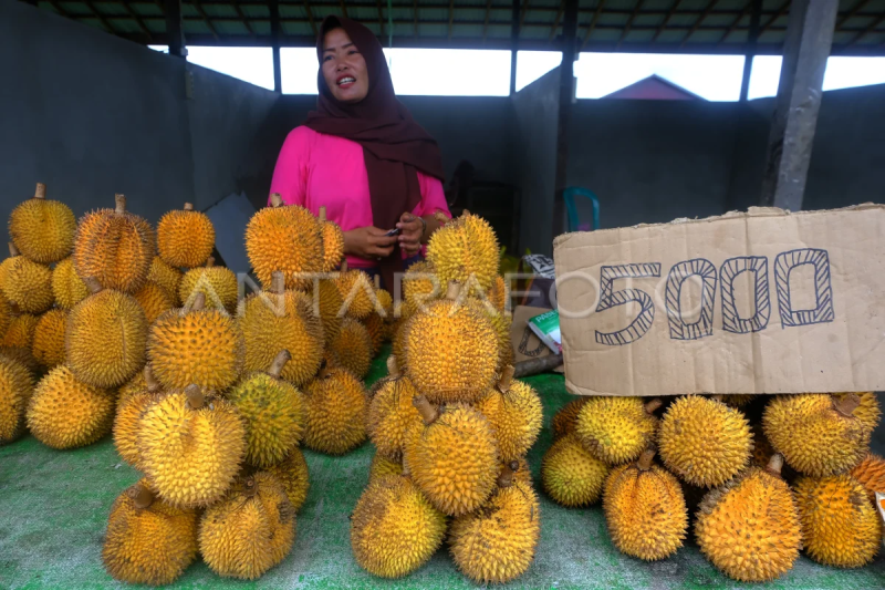 Penjualan buah empakan khas Kapuas Hulu