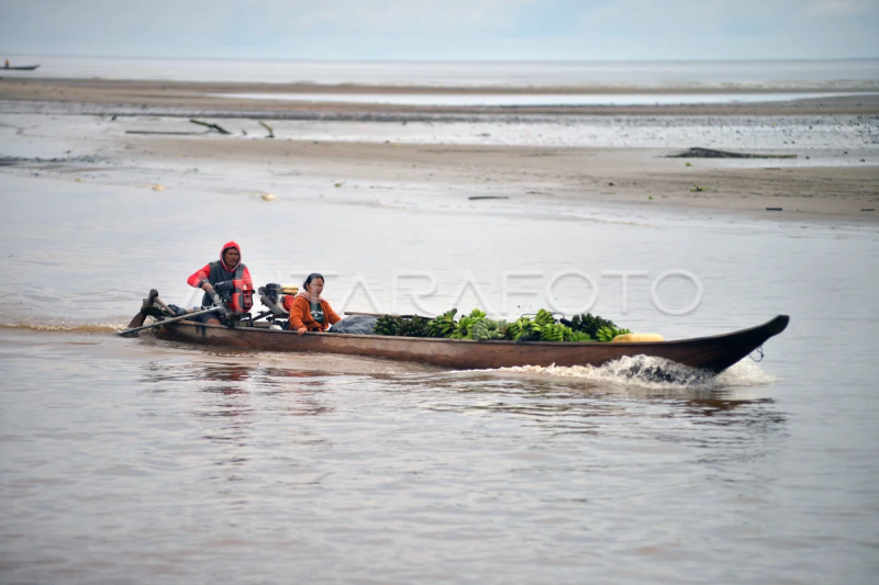 Penjualan hasil bumi Mentawai