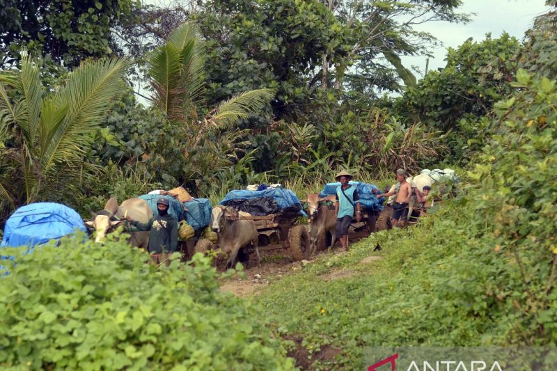 Distribusi balik logistik Pemilu 2024 dari pedalaman Lampung